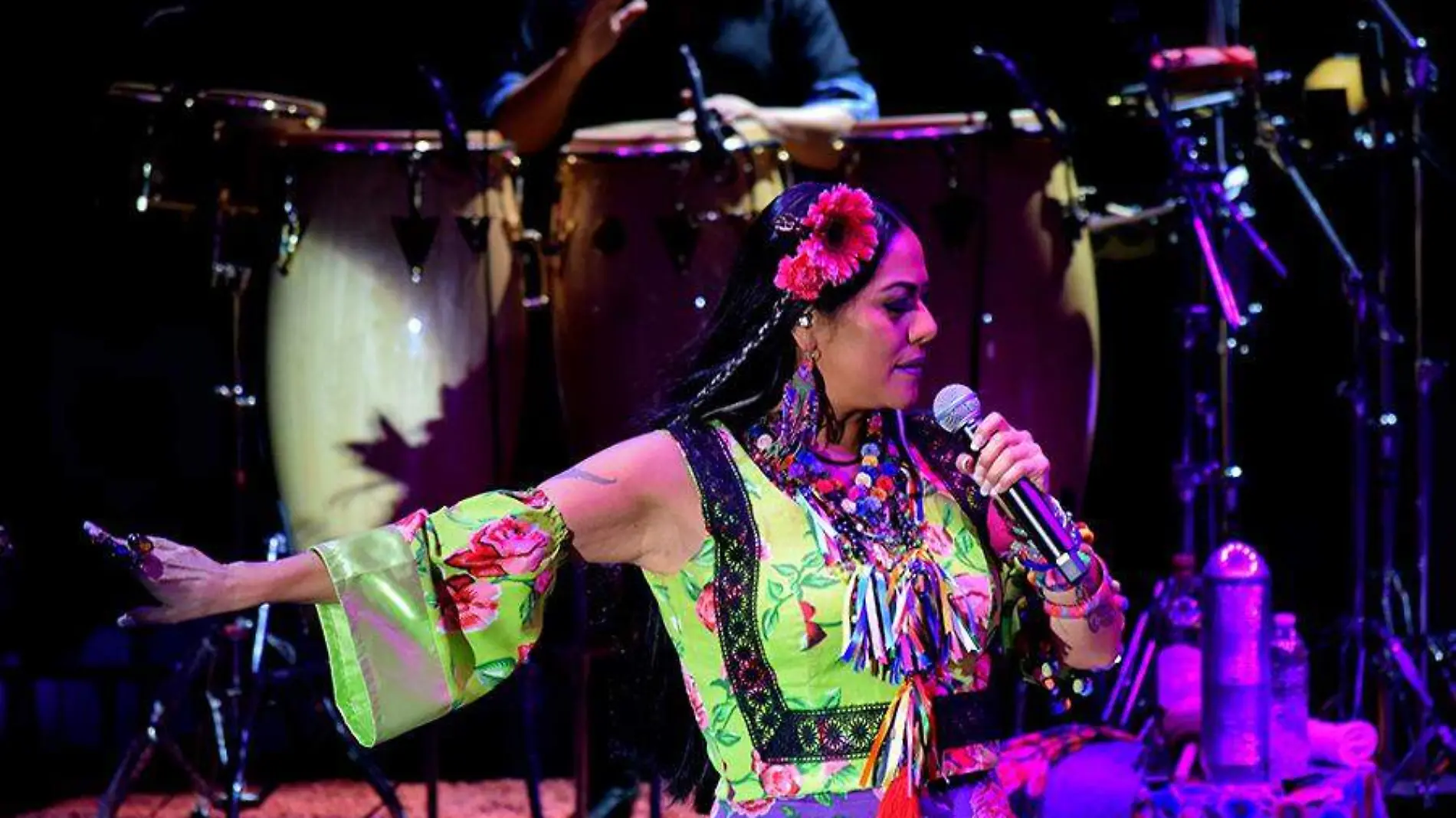 Lila Downs 3